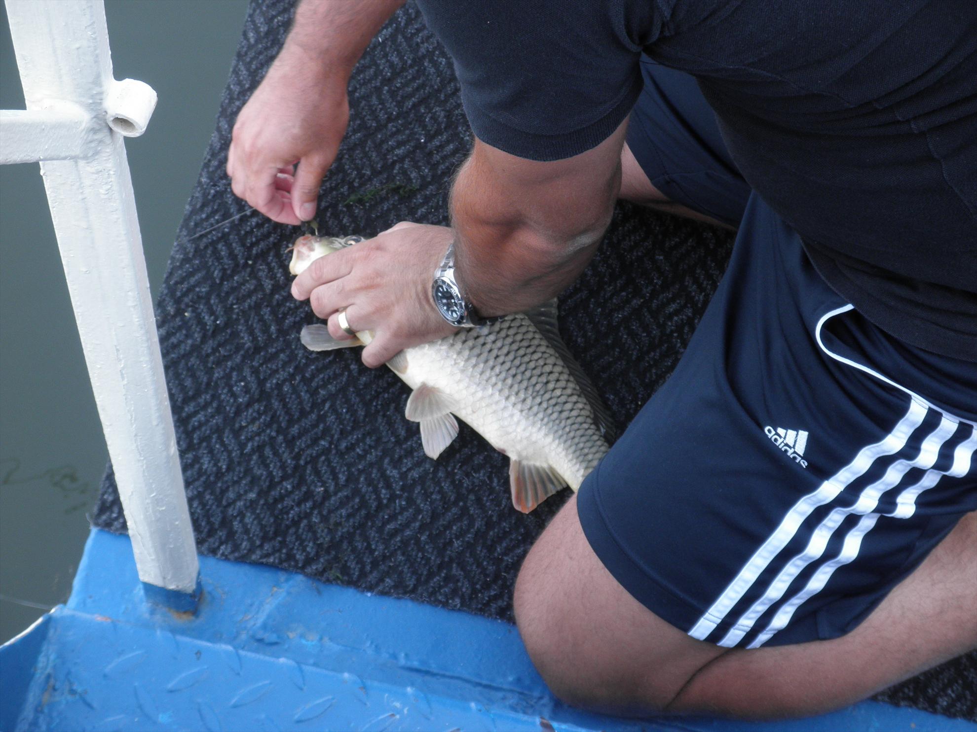 Delta - relaxare - p7290146.JPG